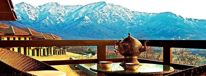 545/Vivanta by Taj Dal View - Srinagar 12.jpg